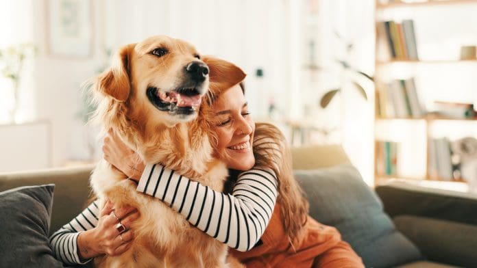 Vetigenics: Advancing precision immunotherapies for companion animals