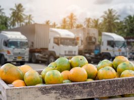 Sustainable Foods 2026: Shaping the future supply chain