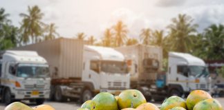 Sustainable Foods 2026: Shaping the future supply chain