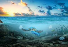 High Seas Treaty enters into force, marking a turning point for global ocean governance