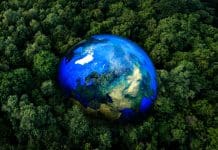 Protecting life on our planet: Earth observation for biodiversity and conservation Protecting life on our planet: Earth observation for biodiversity & conservation