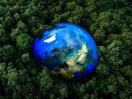 Protecting life on our planet: Earth observation for biodiversity & conservation