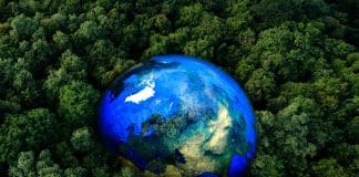 Protecting life on our planet: Earth observation for biodiversity & conservation