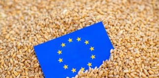 EU strengthens import controls on food safety