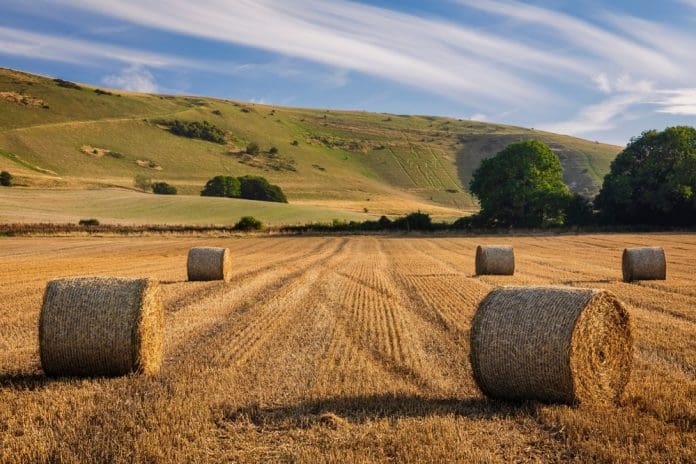£21.5m boost to cultivate the future of English farming