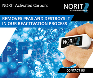 NORIT Activated Carbon (NORIT)